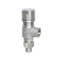 ss304 or ss316 male and female thread  pressure safety valve